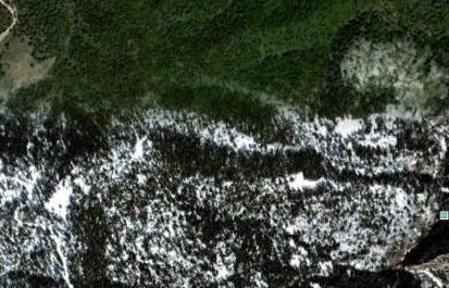 Καμμένη περιοχή δάσους με χιονόπτωση, στην Πάρνηθα. πηγή google earth