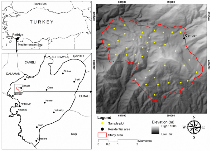 Αρχείο:Christakou1 1.png
