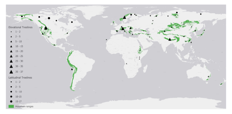 Αρχείο:Christakou5 2.png