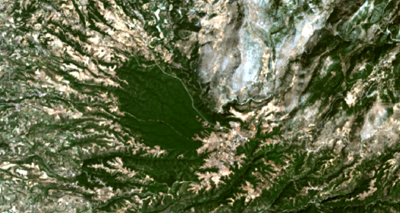Αρχείο:Rs18069 wiki forest Landsat.png