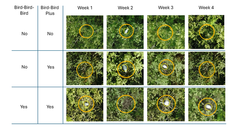 Αρχείο:Christakou3 2.png