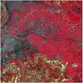 Rs wiki Morocco Gharb plain SPOT5 image.jpg