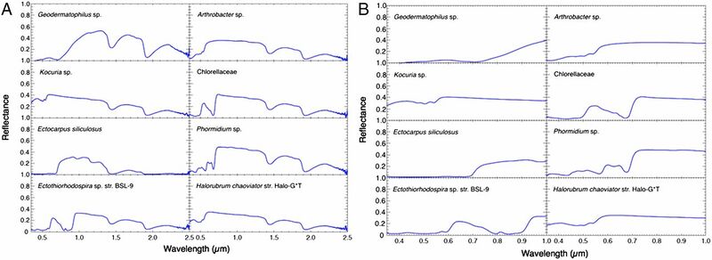 Αρχείο:Pnas.1421237112fig03.jpeg