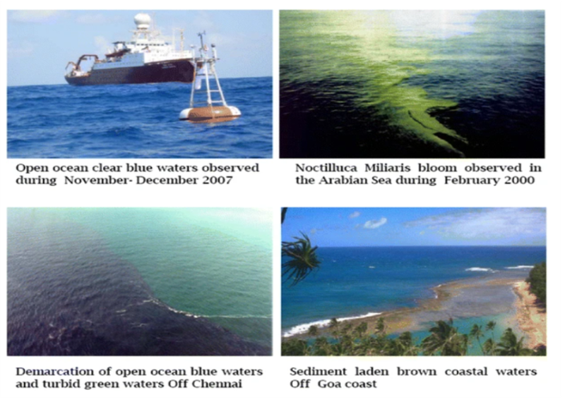 Αρχείο:Kouki1 1.png