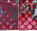 Bolivia-deforestation Landsat ASTER.JPEG