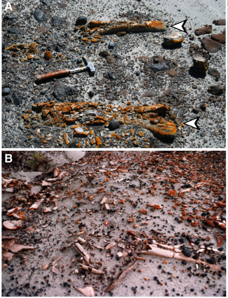 Αρχείο:Image 1.png