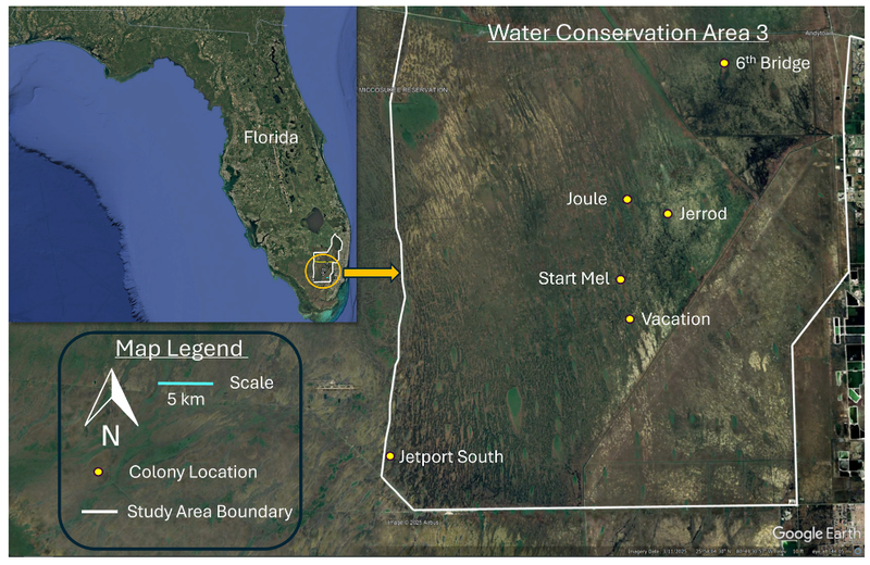 Αρχείο:Christakou3 1.png