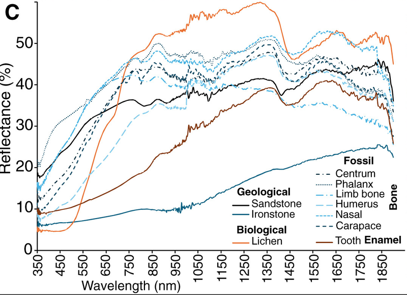 Αρχείο:Image 2.png