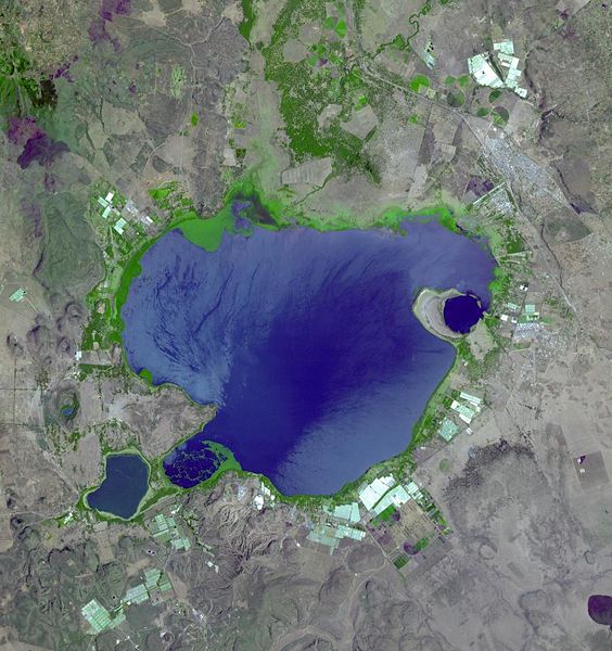 Αρχείο:Lake Naivasha kenya.jpg
