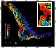 Mangrove-Biomass-Map.mediumthumb.jpg