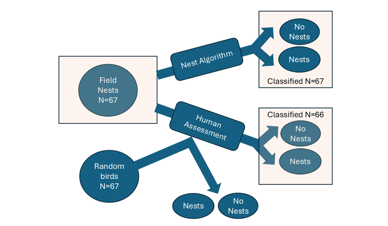 Αρχείο:Christakou3 4.png