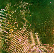 E6400248-Deforestation in Brazil, from space-SPL.jpg