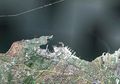 Γραφική σύνοψη για την έκδοση της 20:35, 7 Ιουνίου 2011