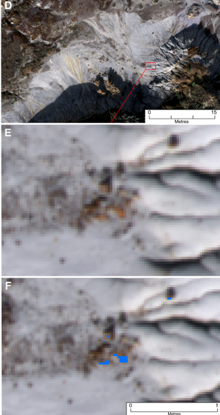 Αρχείο:Image 3.png