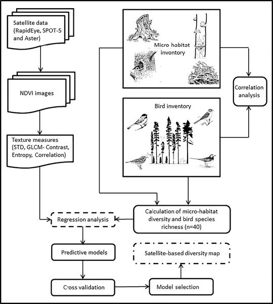Αρχείο:Christakou1 3.jpg