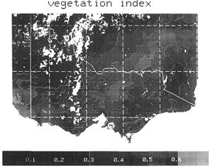 Vegetation index1.JPG