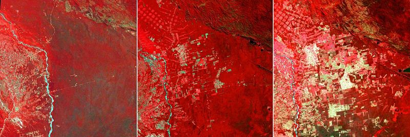 Αρχείο:Landsat-deforestation-bolivia.jpg