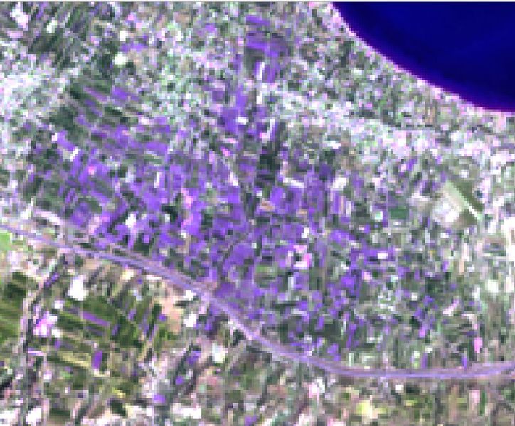 Αρχείο:Greenhouses 472 landsat8.JPG