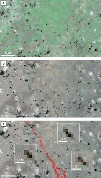 Αρχείο:Rs wiki 3 spotting.png.jpg